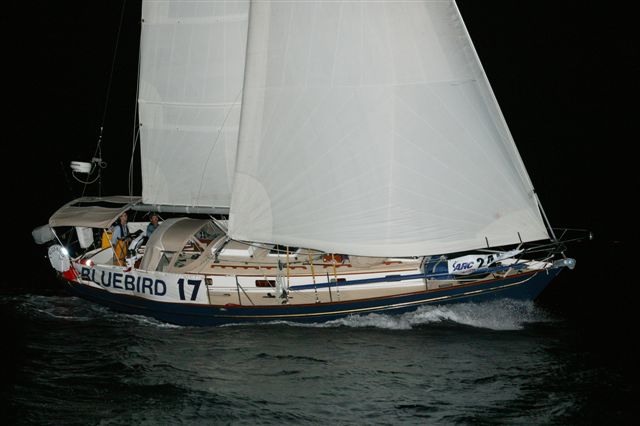 Bluebird
